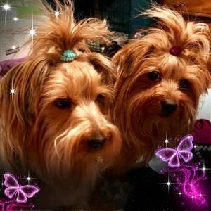 Meet your Posher, Mary